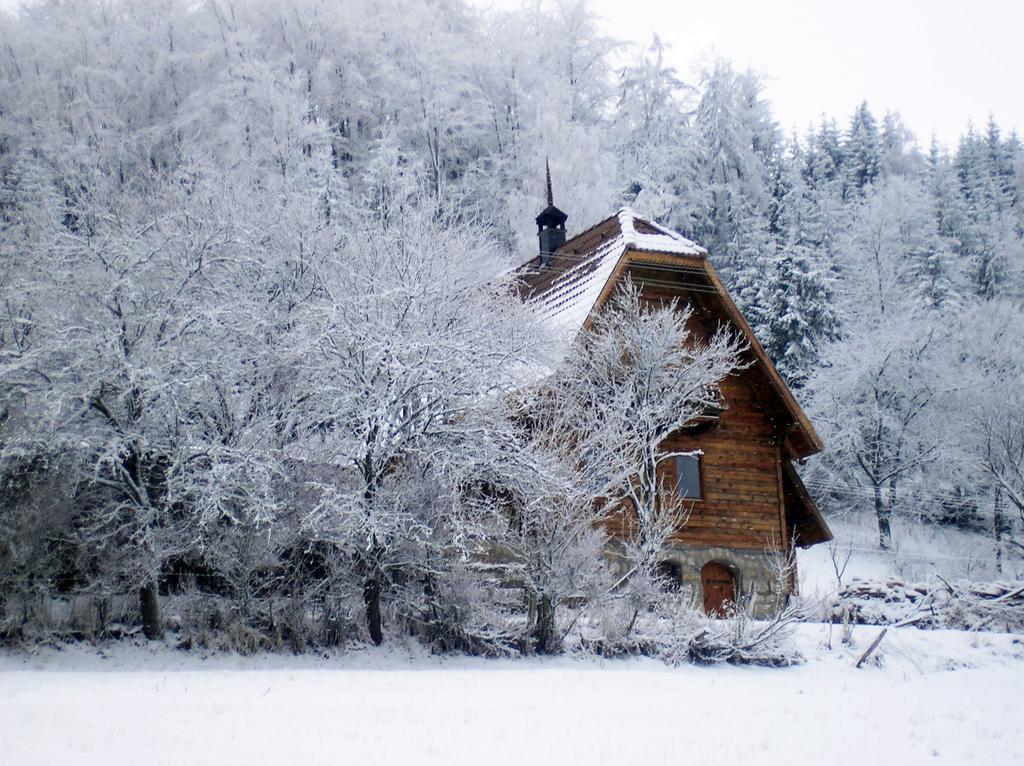Konaci Zaovljanska Jezera Appartement Zaovine Buitenkant foto