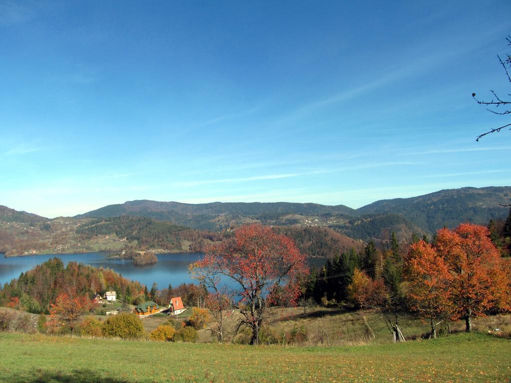 Konaci Zaovljanska Jezera Appartement Zaovine Buitenkant foto