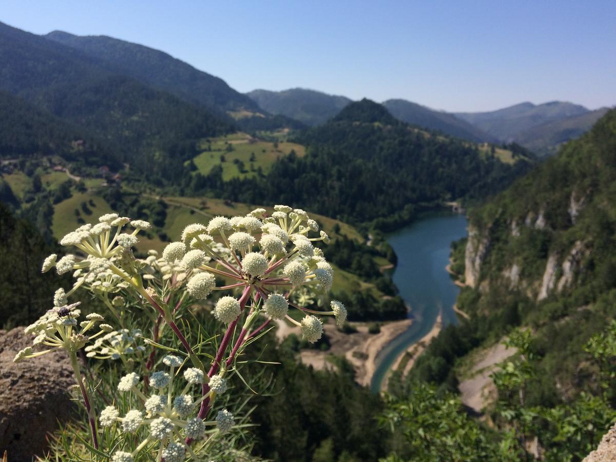 Konaci Zaovljanska Jezera Appartement Zaovine Buitenkant foto
