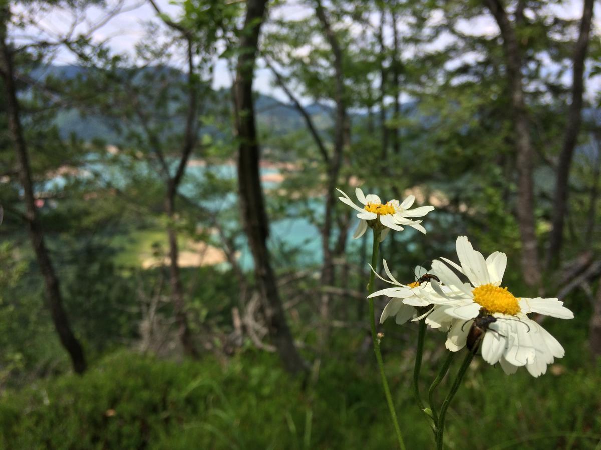 Konaci Zaovljanska Jezera Appartement Zaovine Buitenkant foto